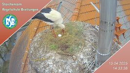 IMG_1958.jpeg