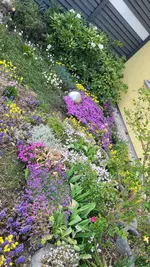 20250413_173748.jpg