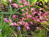 IMG_20250414_100833.webp