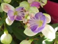 011.webp