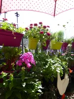001.webp