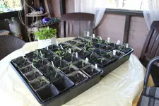 April   0225 JPG.webp