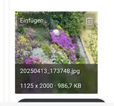 Screenshot_20250415_073603_Chrome.webp