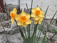 IMG_6449.jpeg