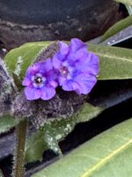 IMG_6463.jpeg