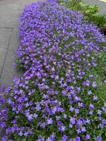 IMG_6440.jpeg