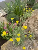 IMG_6448.jpeg