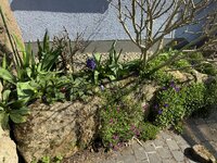 IMG_6436.jpeg