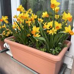 IMG_4009.jpeg