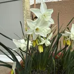 IMG_4008.jpeg