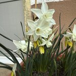 IMG_4008.jpeg
