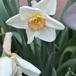 IMG_4011.jpeg