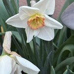 IMG_4011.jpeg