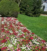 20250414_121709.webp