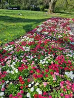 20250414_121556.webp