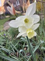 IMG_6349.jpeg