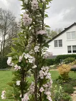 IMG_6420.jpeg