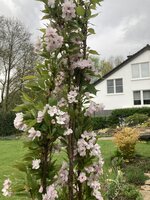 IMG_6420.jpeg