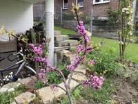 IMG_6416.jpeg