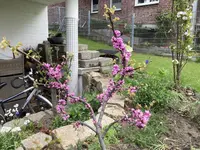 IMG_6416.jpeg