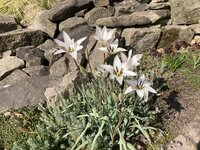 IMG_6275.jpeg