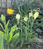 IMG_8327.jpeg