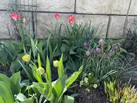 IMG_8326.webp IMG_8326.webp