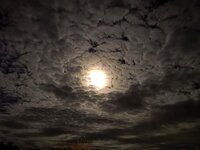 IMG_20221207_182232.jpg