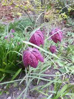 20250411_135639.webp 20250411_135639.webp