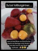 Bildschirmfoto 2025-04-17 um 10.15.37.png