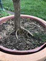 EFA6BDB5-3246-439F-B81E-4738BE034A7E.jpeg EFA6BDB5-3246-439F-B81E-4738BE034A7E.jpeg