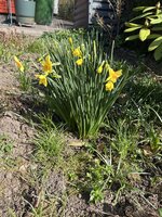 IMG_0250.JPEG