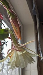 PXL_20250417_134347343~2.jpg