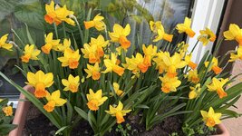 IMG_3993.jpeg
