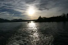 anov.8112.webp