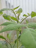 20250417_234532.jpg