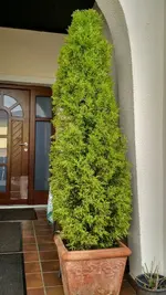 IMG_20190601_093202969_HDR.webp