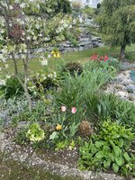 IMG_8400.jpeg