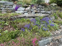 IMG_8402.jpeg