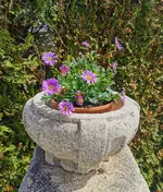 IMG_20250414_120713.webp