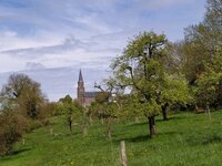 IMG_20250418_162832.jpg