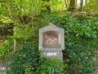 IMG_20250418_165509.jpg