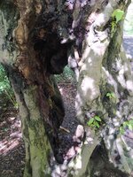 IMG_20250418_143404.jpg
