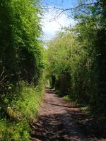 IMG_20250418_144701.jpg