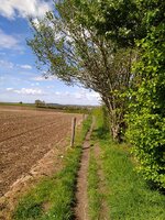 IMG_20250418_150306.jpg