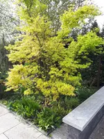 20250417_171918.webp