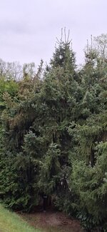 20250418_190659.jpg