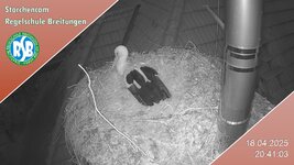 IMG_1960.jpeg