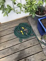 52145F3A-44E3-4994-9B73-2D9FF7260D33.webp 52145F3A-44E3-4994-9B73-2D9FF7260D33.webp