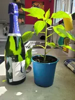 20250419_112048.jpg